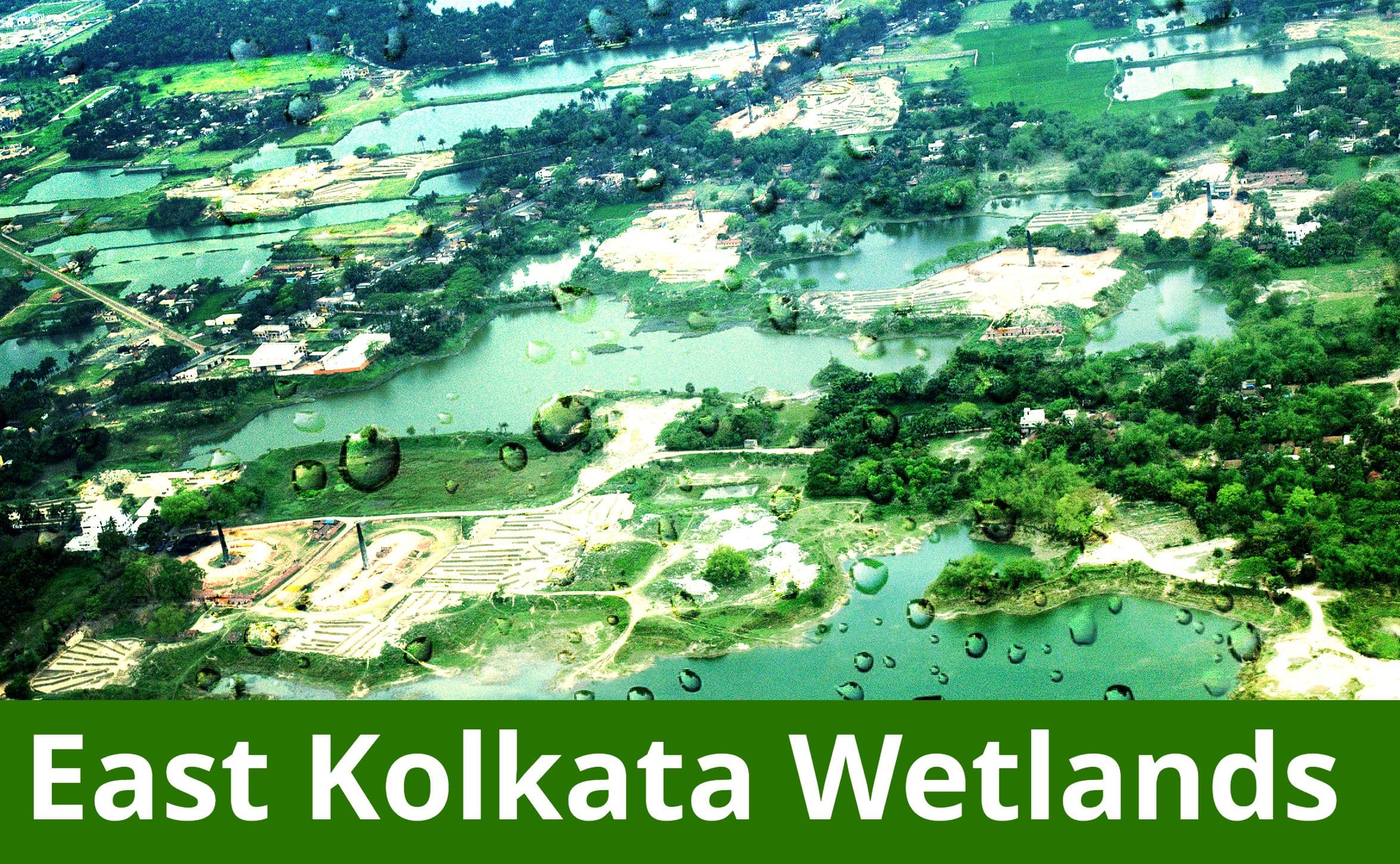 इस्ट कोलकाता वेटलैंड पर 120 करोड़ रुपये खर्च करेगी बंगाल सरकार