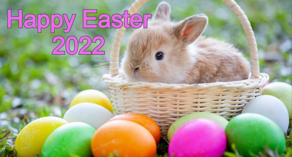Easter 2022: ईस्टर संडे आज, जानें इस दिन का इतिहास, महत्व और ईस्टर अंडे, बनीज के बारे में रोचक बातें