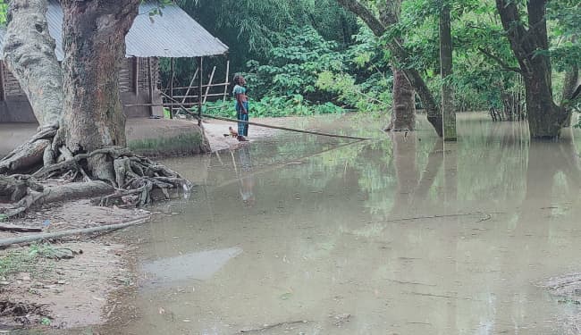 महानंदा नदी के जलस्तर में आयी कमी, निचले इलाकों में फैला बाढ़ का पानी, गंगा समेत कई नदियों का बढ़ा जलस्तर