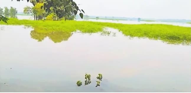 घट रहा बूढ़ी गंडक का जलस्तर, लेकिन कम नहीं रहा खतरा, जानें क्या है परेशानी