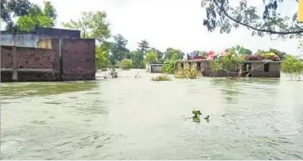Flood in Bihar : लगातार हो रही बारिश से बढ़ रहा जल स्तर, कटाव के खतरे से विभाग सतर्क