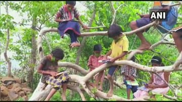Online Class : पहाड़ पर चढ़कर पढ़ाई, पेड़ पर चढ़कर लिखाई, जानें बच्चे क्यों हैं मजबूर