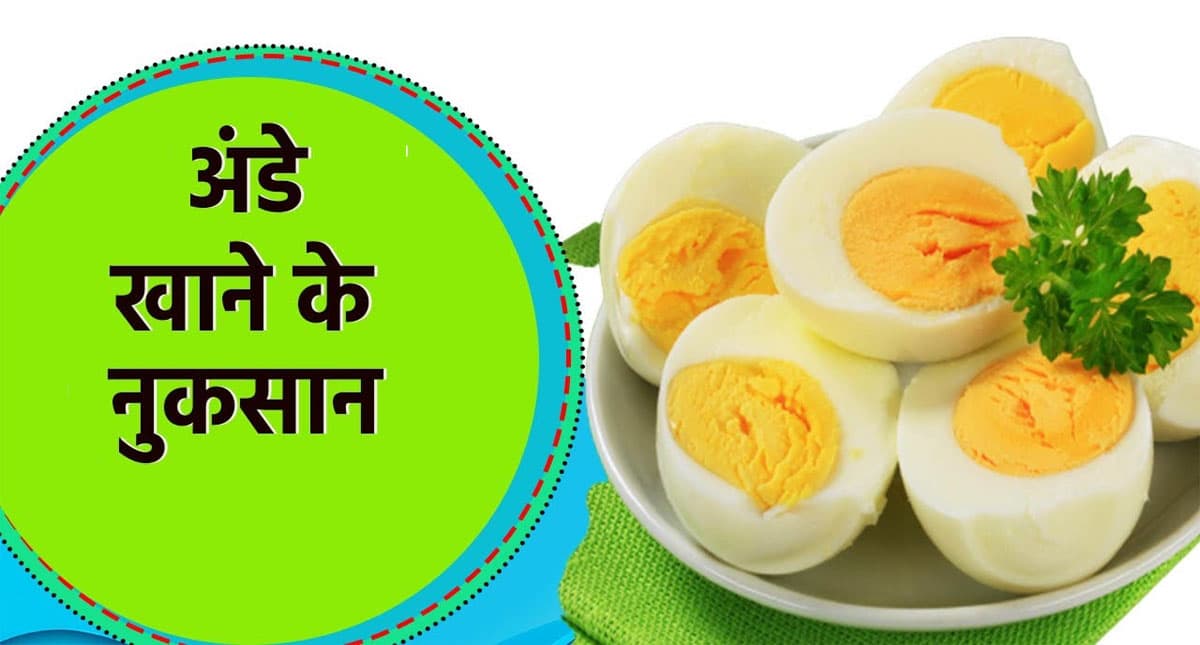 Egg Disadvantages: अंडे खाने के हैं शौकीन तो हो जाएं सावधना, जाड़े के मौसम में इसके सेवन से होते हैं ये नुकसान