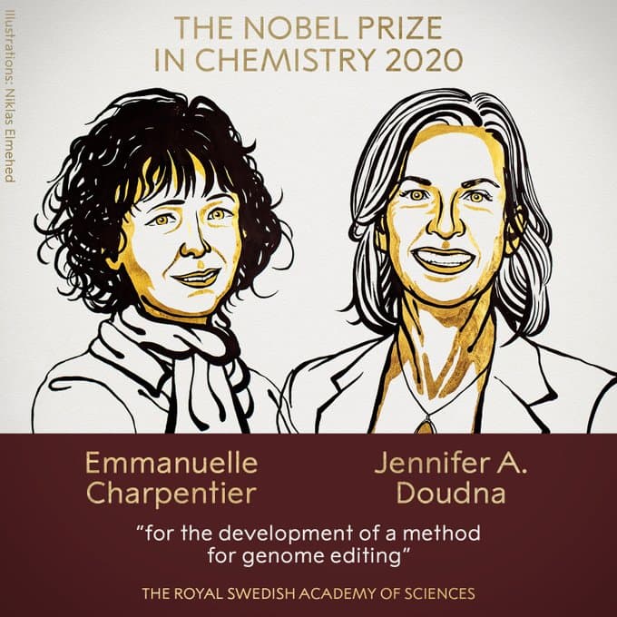 Nobel Prize 2020 : कैंसर के इलाज में कारगर   जेनेटिक सीजर की खोज के लिए Emmanuelle Charpentier और Jennifer A Doudna को  केमेस्ट्री का नोबेल पुरस्कार