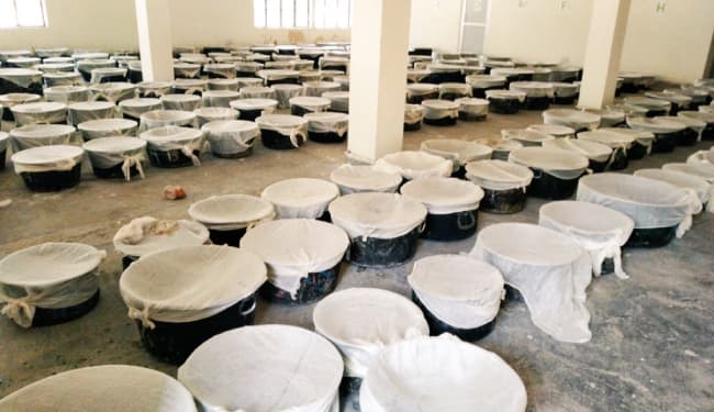 IARI पूसा की मदद से दिल्ली में पराली से निबटेंगे केजरीवाल, तैयार हुआ 10 हजार लीटर 'बायो डीकंपोजर', 13 को करेंगे छिड़काव की शुरुआत