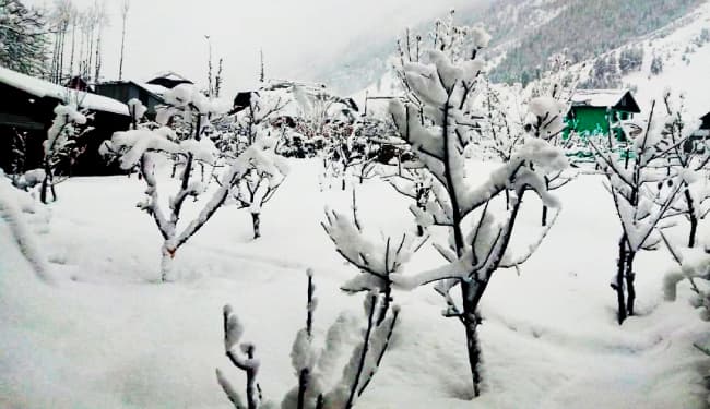 बर्फ की सफेद चादर से ढक गयीं जम्मू-कश्मीर और हिमाचल की पहाड़ियां, 12 तक मौसम खराब रहने की चेतावनी