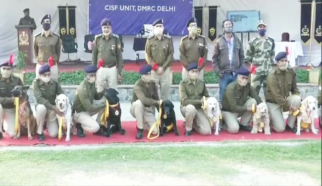 10 वर्षों तक देश सेवा में योगदान देने के बाद सीआईएसएफ के आठ कैनाइन सदस्यों को दी गयी सेवानिवृत्ति