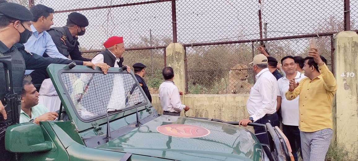 इटावा की लॉयन सफारी में आखिर ऐसा क्या है जिसे देख खिलखिला पड़े सपा संरक्षक मुलायम सिंह यादव...