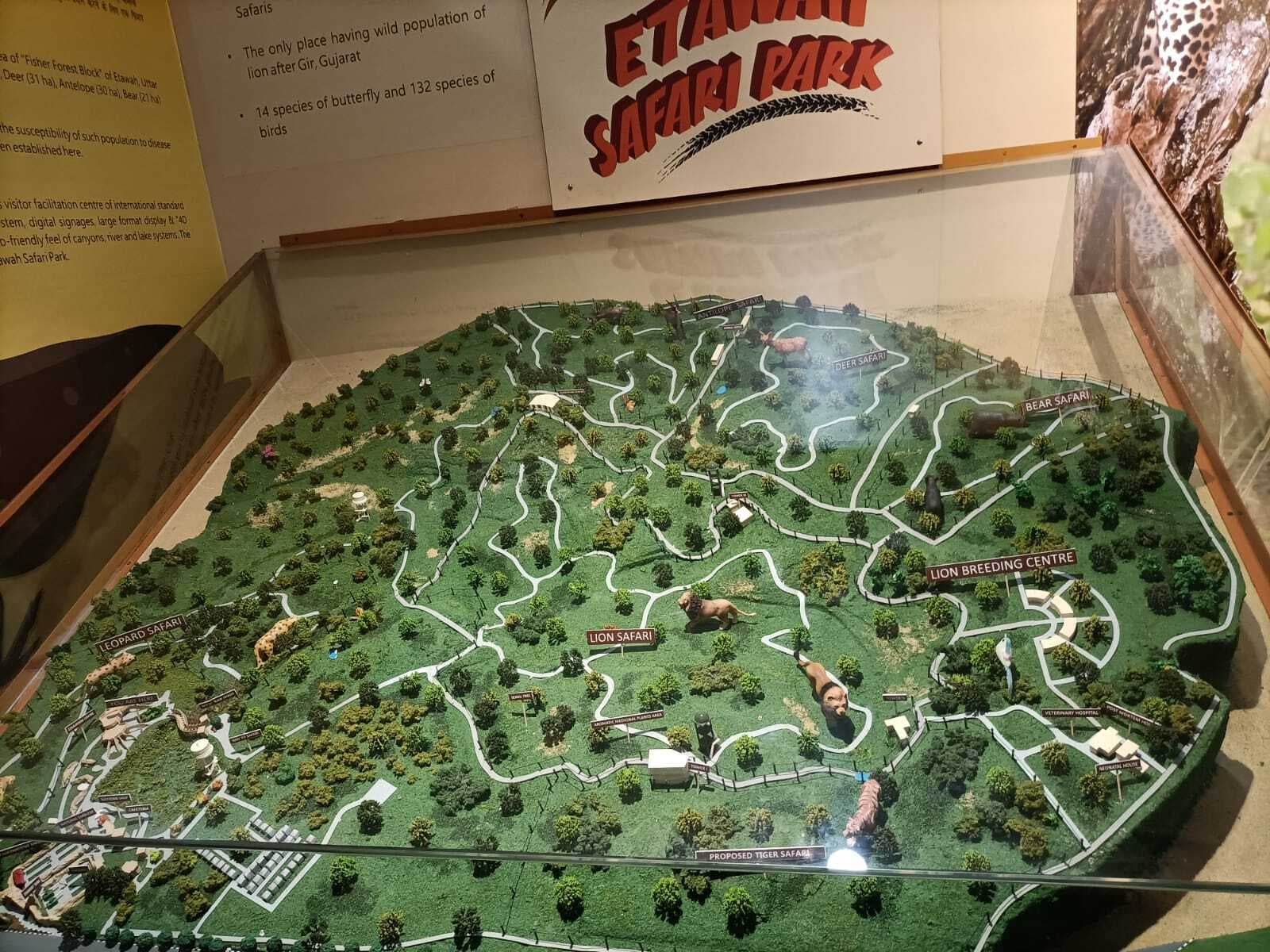 UP News: इटावा लायन सफारी में शेरनी सोना ने शावकों को दूध पिलाना छोड़ा, अभी नहीं खुली हैं आंखें