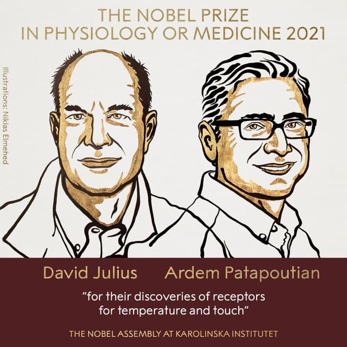 Nobel Prize 2021 : मेडिसीन के क्षेत्र में डेविड जूलियस और आर्डम पातापुतियन को नोबल पुरस्कार देने की घोषणा