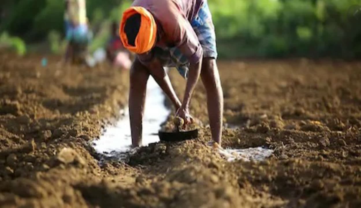 झारखंड के 1.14 लाख किसानों को अब नहीं मिलेगा पीएम किसान योजना का लाभ, जानें क्या है वजह