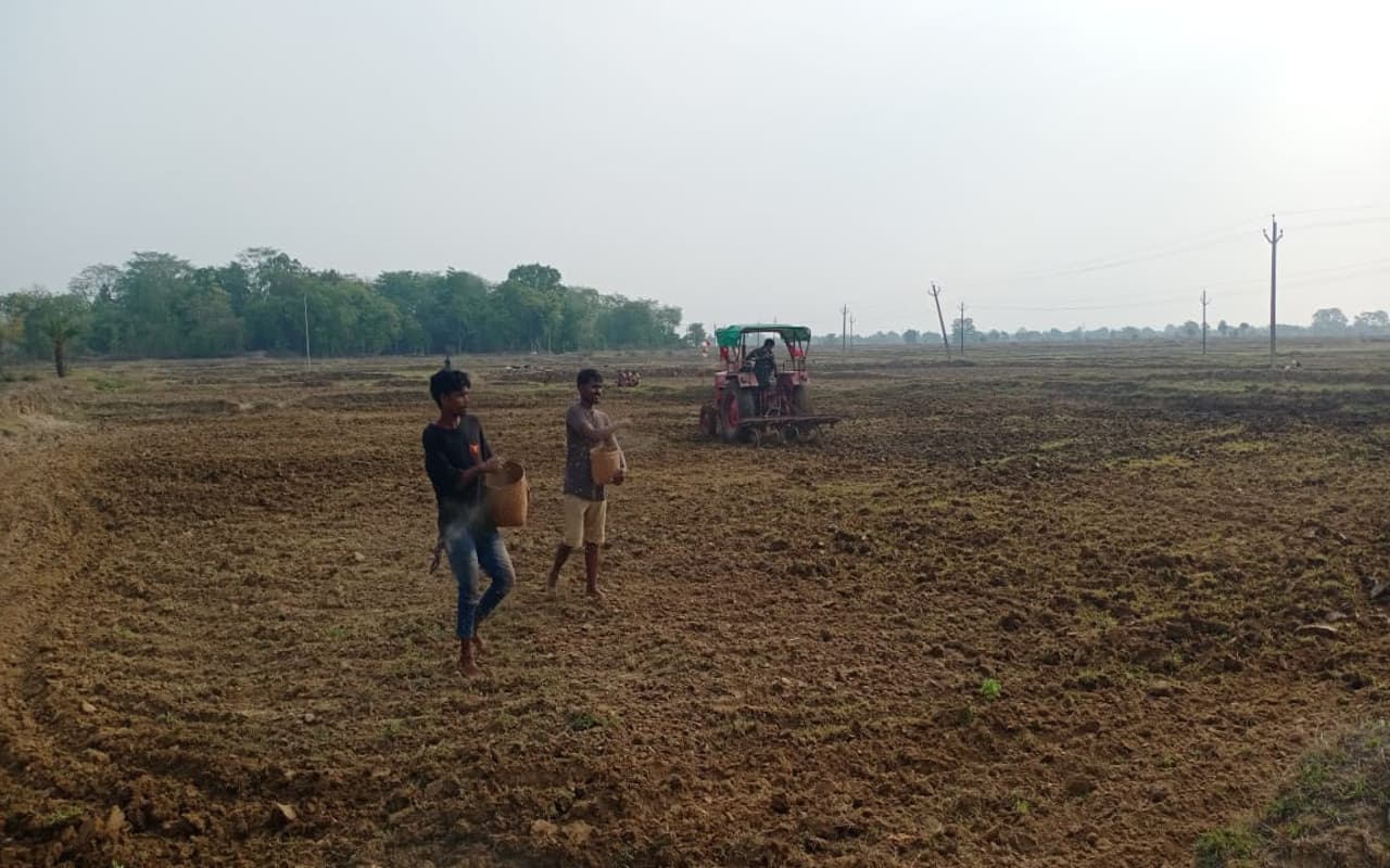 पश्चिमी सिंहभूम : मानसून की देरी से सुस्त पड़ी खरीफ फसलों की बुआई, इंद्रदेव से प्रार्थना कर रहे किसान