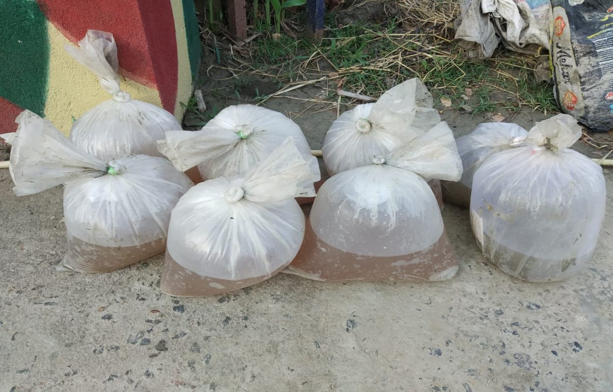 मवेशियों के पेट से मछली के अंडों की स्मगलिंग, जानवरों की लाश का हो रहा इस्तेमाल