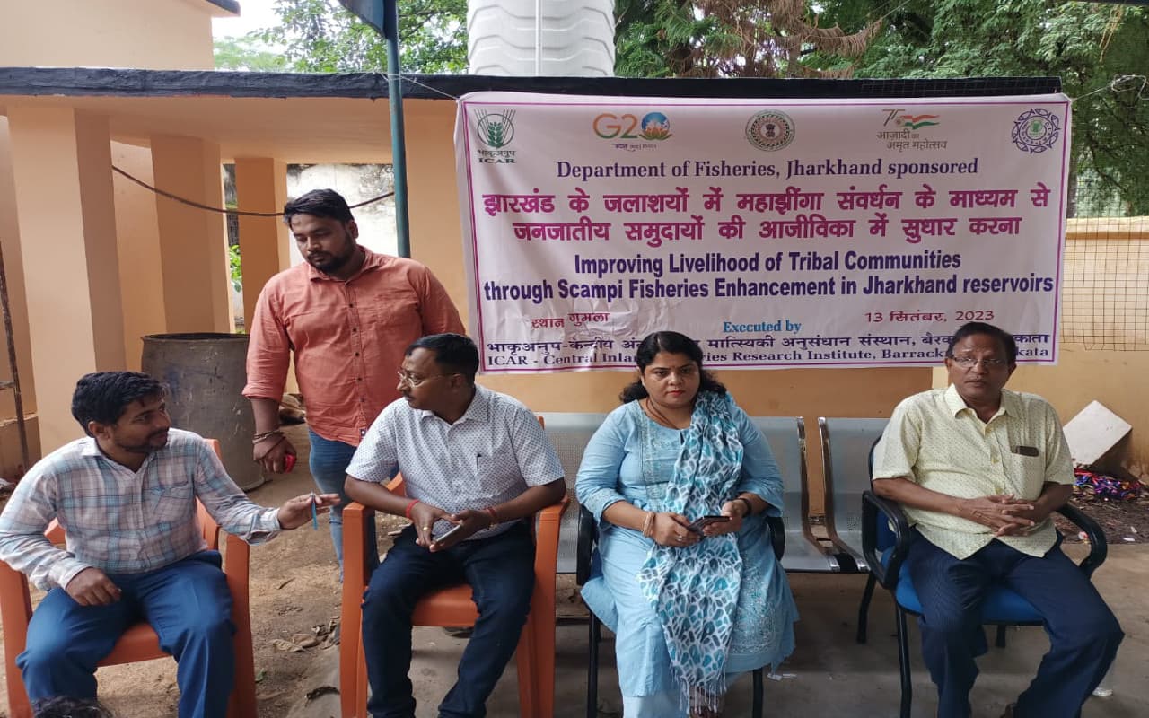 झारखंड : गुमला, सिमडेगा व हजारीबाग जिले में होगा महाझींगा मछली का पालन, एससी-एसटी मत्स्य पालकों को मिलेगा लाभ