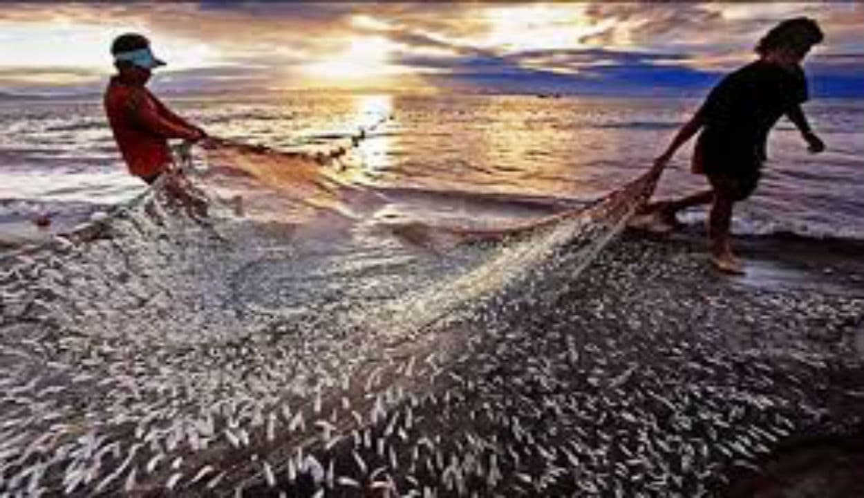 Fisheries: मत्स्य पालन को बढ़ावा देने के लिए शुरू होगा प्रधानमंत्री मत्स्य किसान समृद्धि सह-योजना