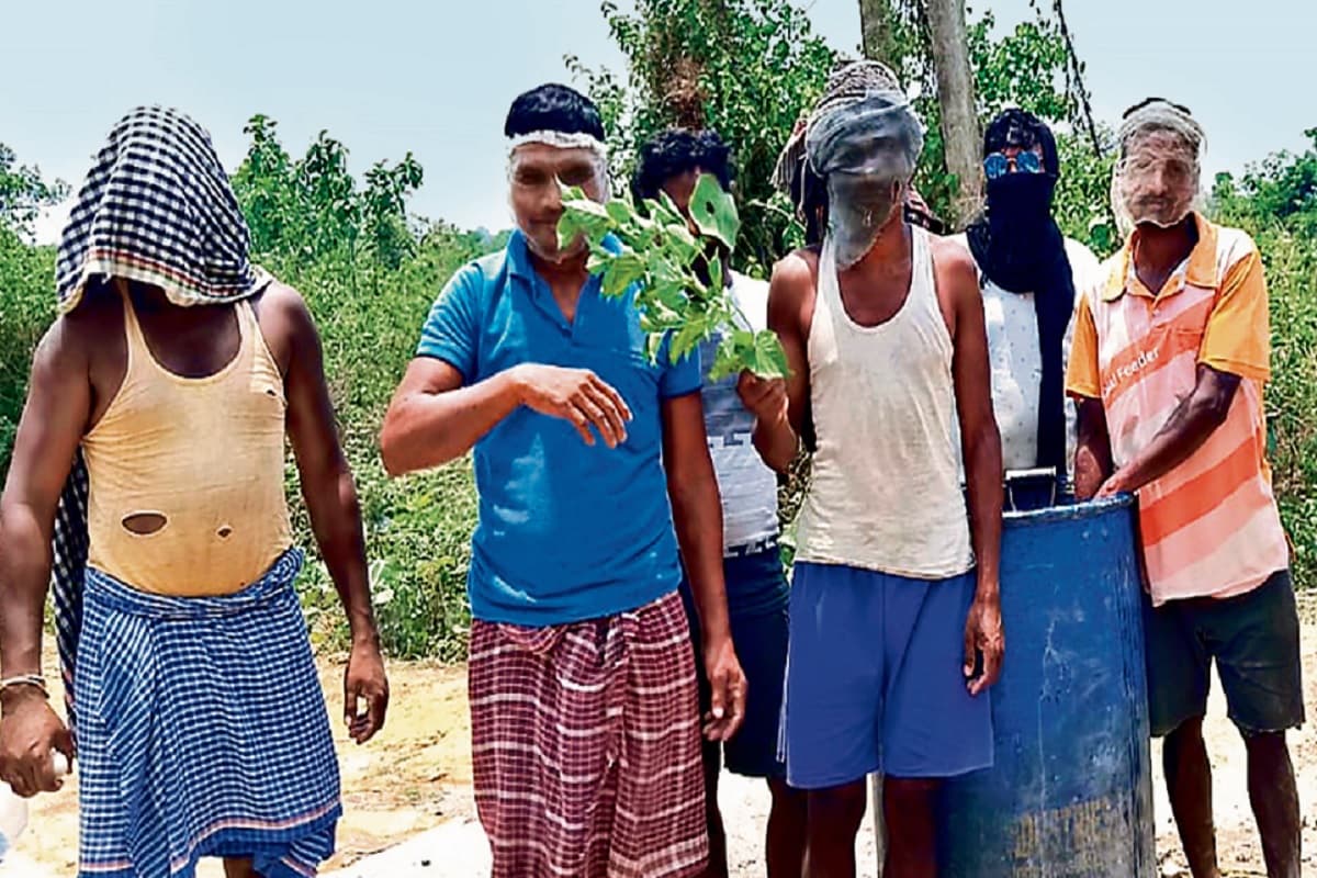 झारखंड में मक्खियों आतंक, 100 से अधिक गांवों के लोग परेशान, खौफ इतना कि मच्छरदानी का टुकड़ा बांध घूम रहे लोग