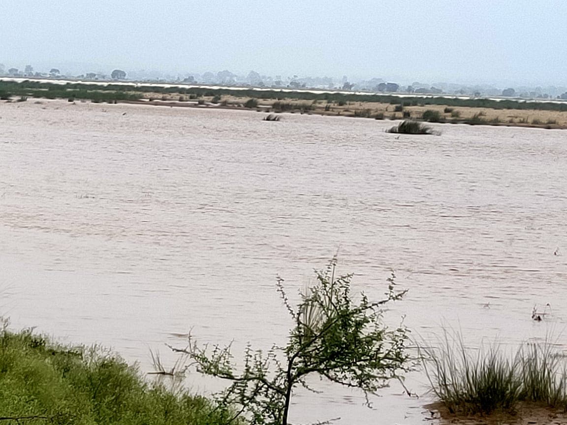 Jharkhand : गढ़वा में सोन नदी उफान पर, गांवों पर मंडराया बाढ़ का खतरा, वज्रपात से 2 की मौत, विधवा हुई बेघर