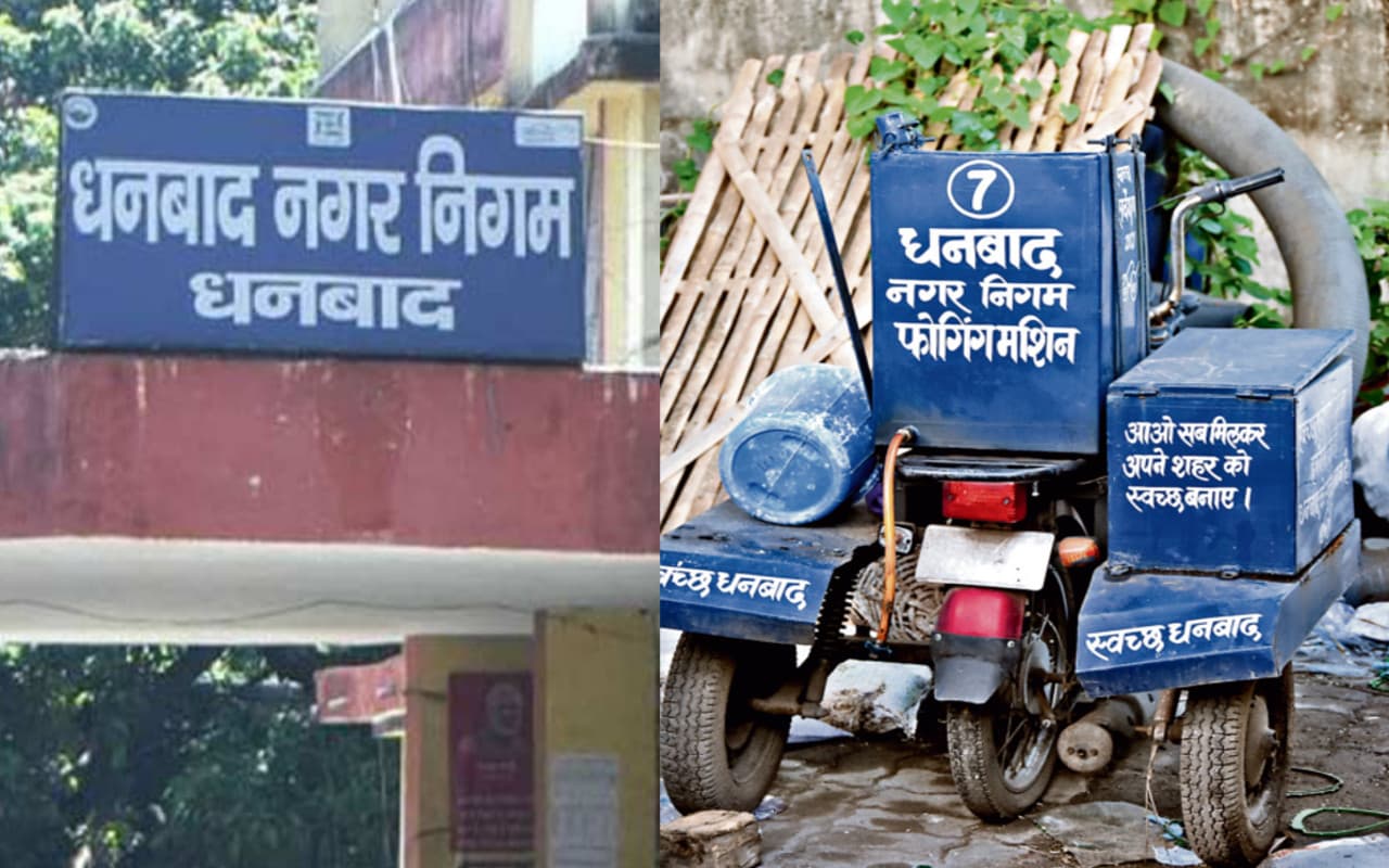 Jharkhand News: धनबाद में डेंगू का बढ़ने लगा खतरा, शहर में नहीं दिखती नगर निगम की धुआं गाड़ी