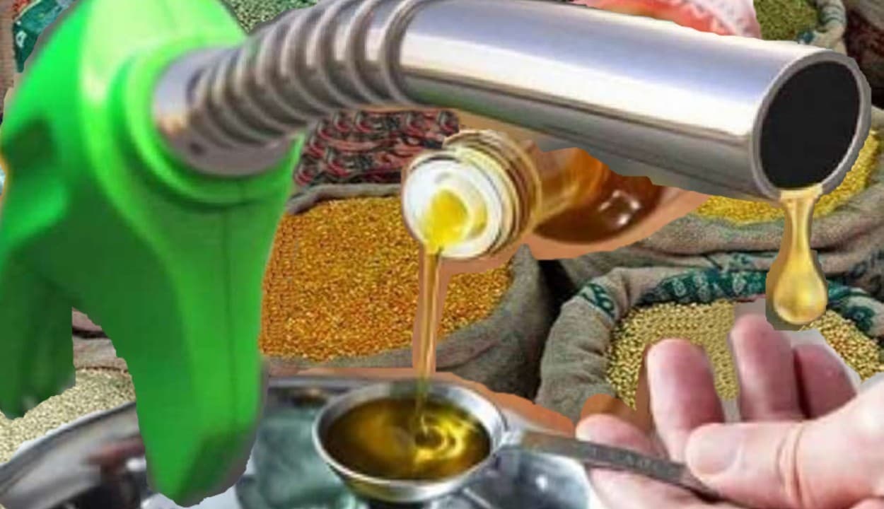 कंज्यूमर्स को महंगाई से राहत दिलाएगी नई फसलें, केंद्र-राज्य के तालमेल से घटेंगी पेट्रोल-डीजल की कीमतें!