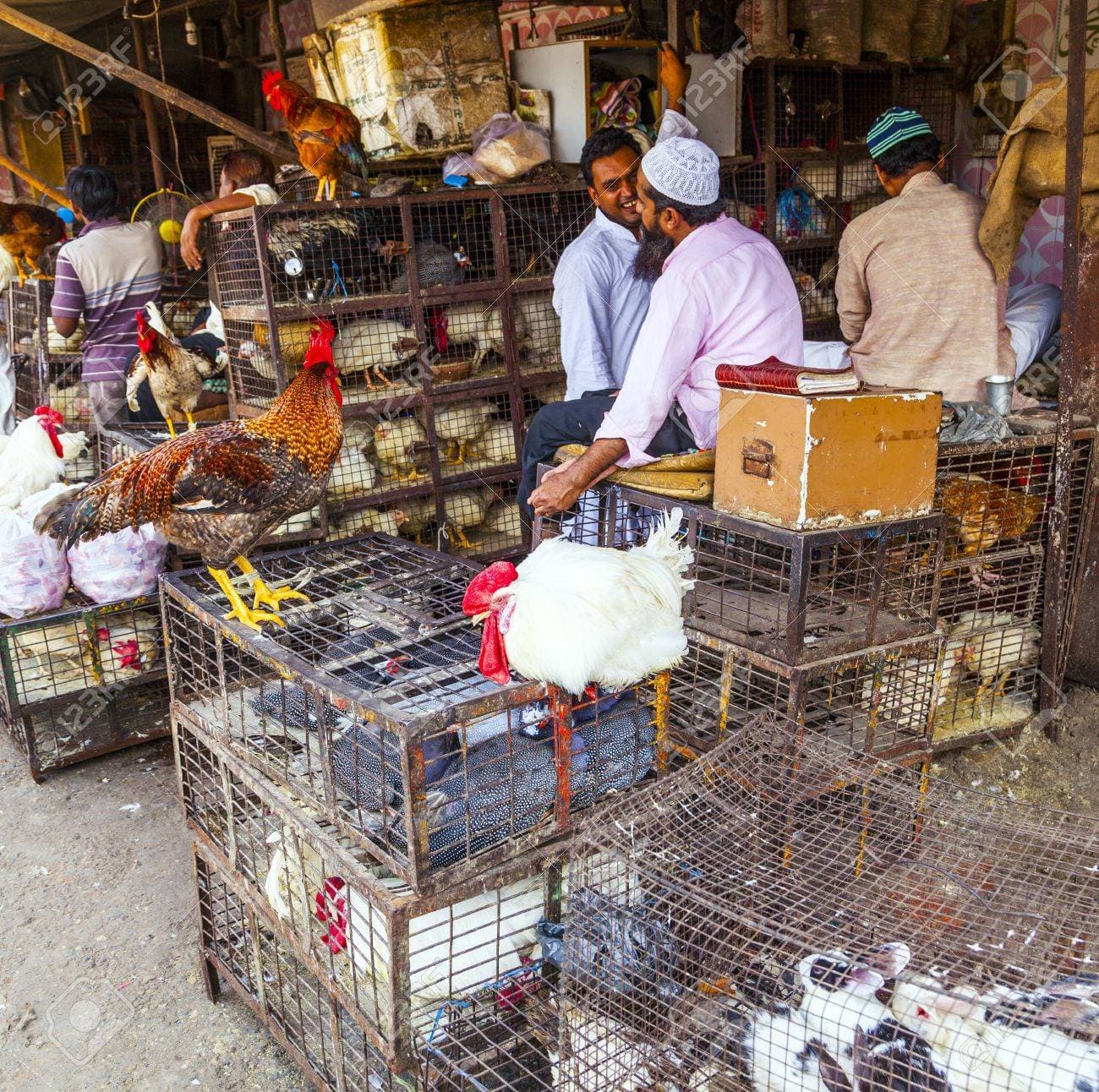 कोरोना : 100 में चार मुर्गियां, फिर भी खरीदार नहीं