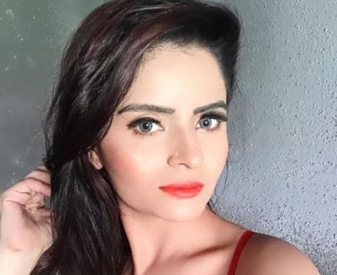 राज कुंद्रा नहीं बनाते थे पॉर्न वीडियोज, बचाव के लिए गहना वशिष्ठ ने बिना कपड़े किया लाइव चैट, VIDEO