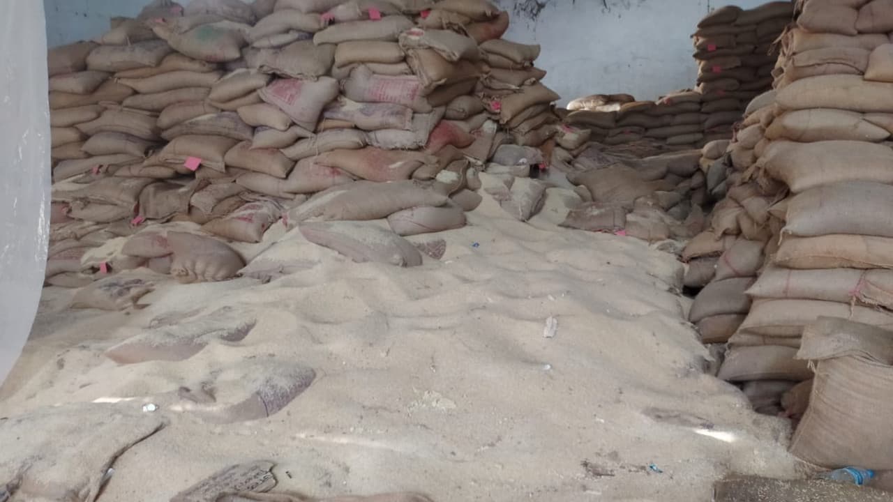 कोरोना काल में वितरण के लिए गढ़वा के FCI गोदाम में रखा 20 क्विंटल चना सड़ा, चावल में भी लग गये कीड़े