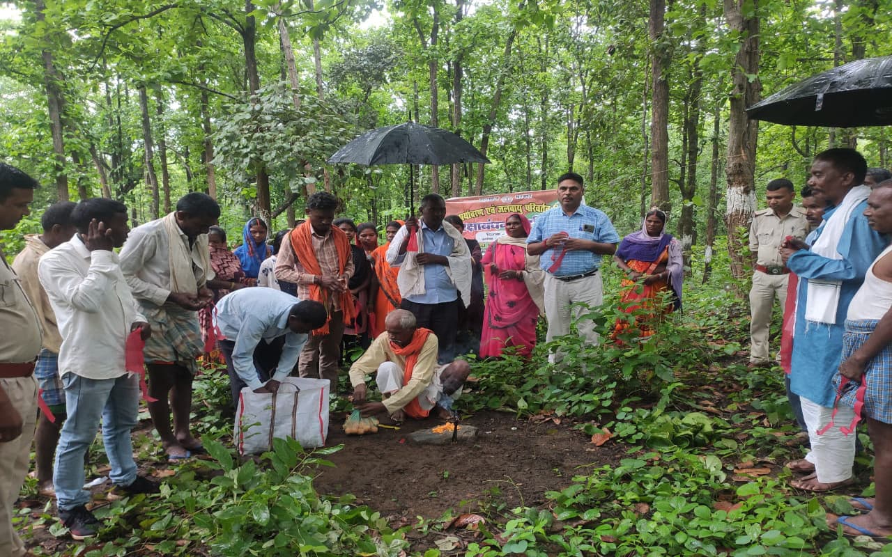 गढ़वा और लोहरदगा में हरियाली बढ़ाने को लेकर पेड़ों में बांधा रक्षा सूत्र, बचाने का लिया संकल्प