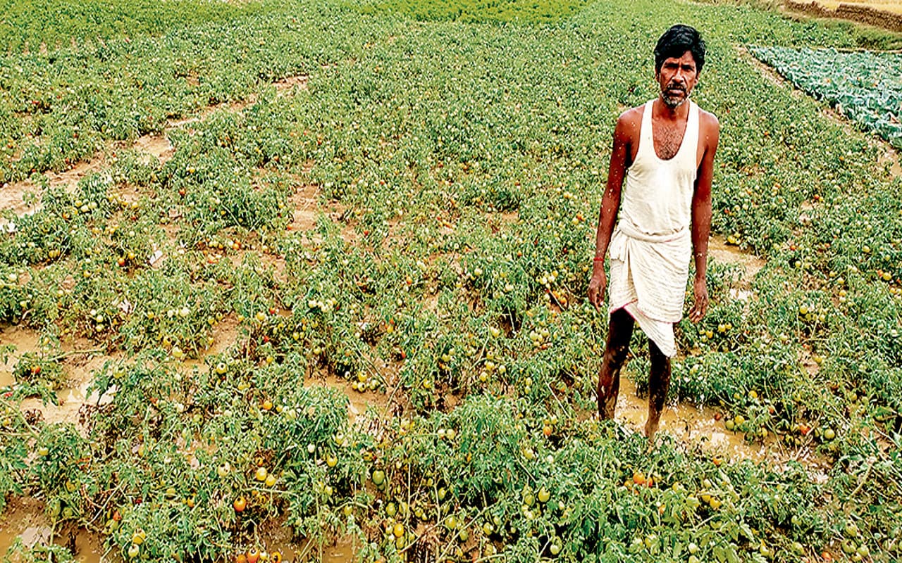 झारखंड : बेमौसम बारिश ने बढ़ायी किसानों की चिंता, रबी और जेठुआ फसल के नुकसान की बढ़ी आशंका