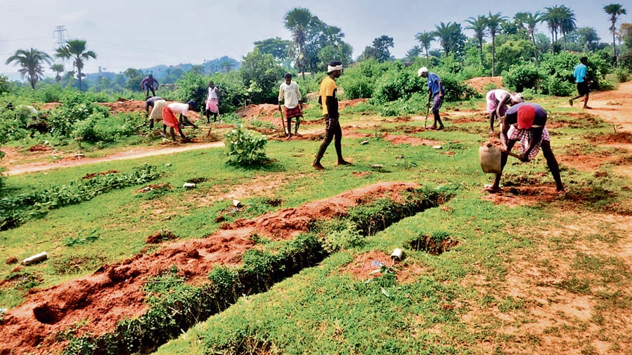Jharkhand News: गोड्डा के करीब 1100 हेक्टेयर क्षेत्र में छाएगी हरियाली,6 लाख से अधिक पेड़ लगाने का लक्ष्य Jharkhand News: गोड्डा के करीब 1100 हेक्टेयर क्षेत्र में छाएगी हरियाली,6 लाख से अधिक पेड़ लगाने का लक्ष्य