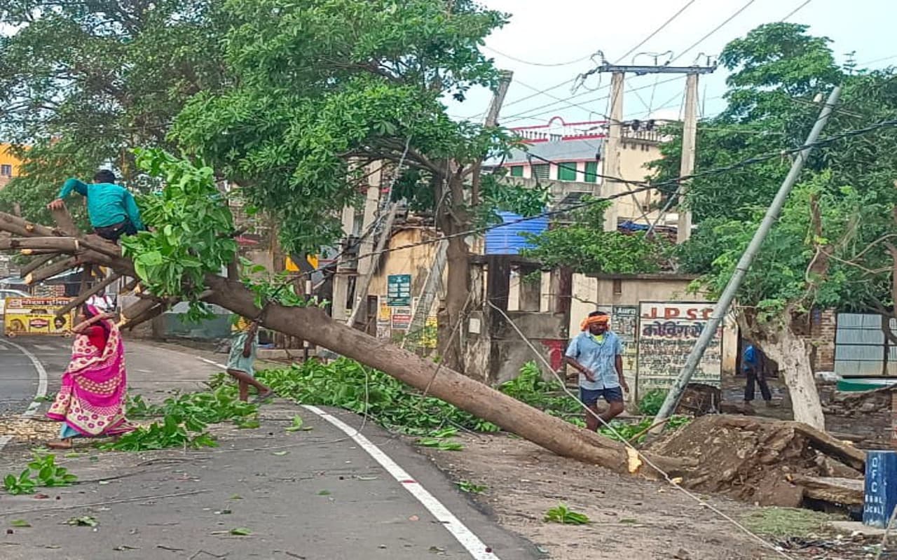 Jharkhand Weather Update: गोड्डा में आंधी-पानी से भारी तबाही, कई पेड़ गिरे, आम की फसलों को पहुंचा नुकसान