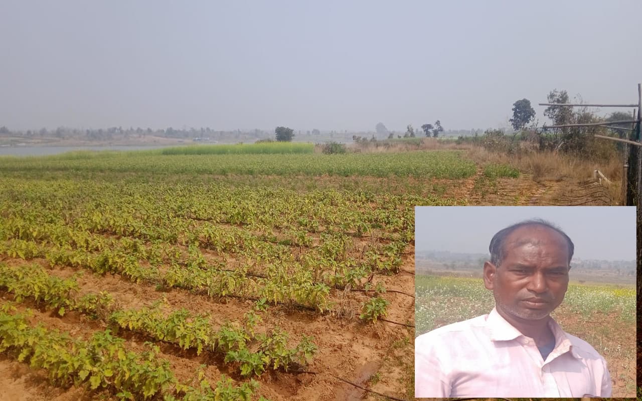 Jharkhand News: तेनुघाट डैम के सामने परती और बंजर जमीन को उपजाऊ बनाकर आत्मनिर्भर बने किसान सुखदेख मांझी