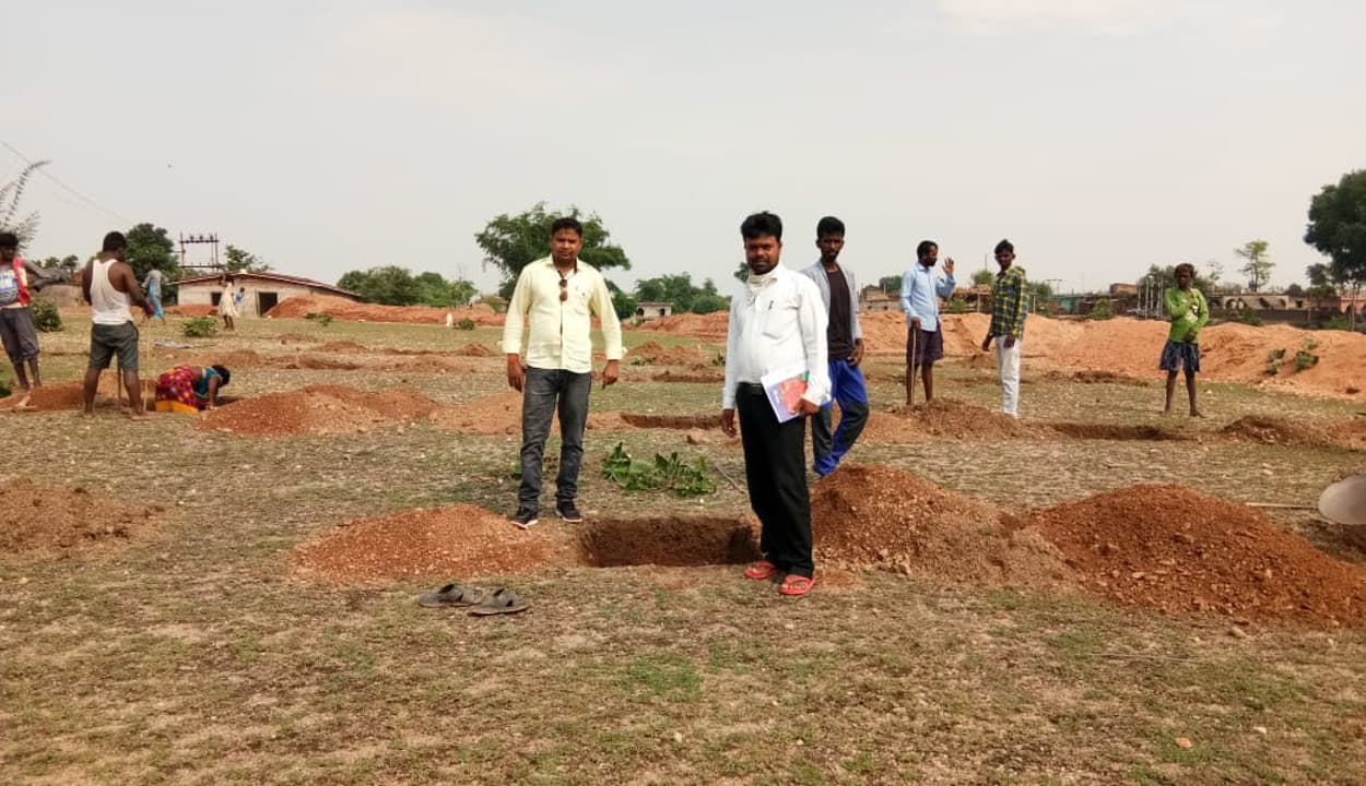 गोमिया में दिखेगी हरियाली, 111 एकड़ में लगेंगे 25 हजार आम और इमारती लकड़ियों के पौधे, प्रक्रिया शुरू