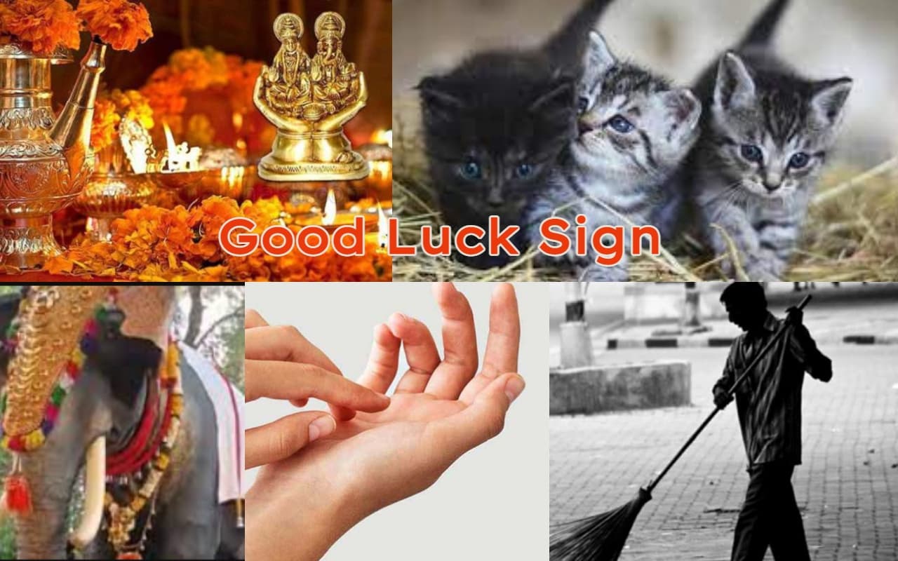Good Luck Sign: मिलने लगें ये संकेत तो समझ जाएं, खुलने वाला है आपका भाग्य