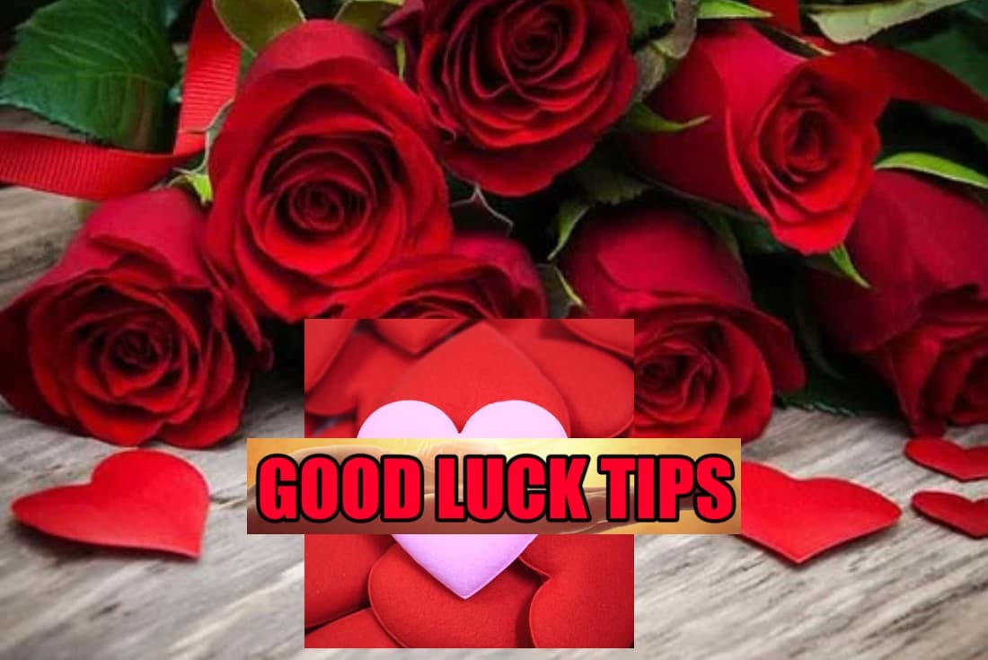 Good Luck Tips: लव लाइफ में आ रही परेशानी तो करें लाल गुलाब ये आसान उपाय Good Luck Tips: लव लाइफ में आ रही परेशानी तो करें लाल गुलाब ये आसान उपाय