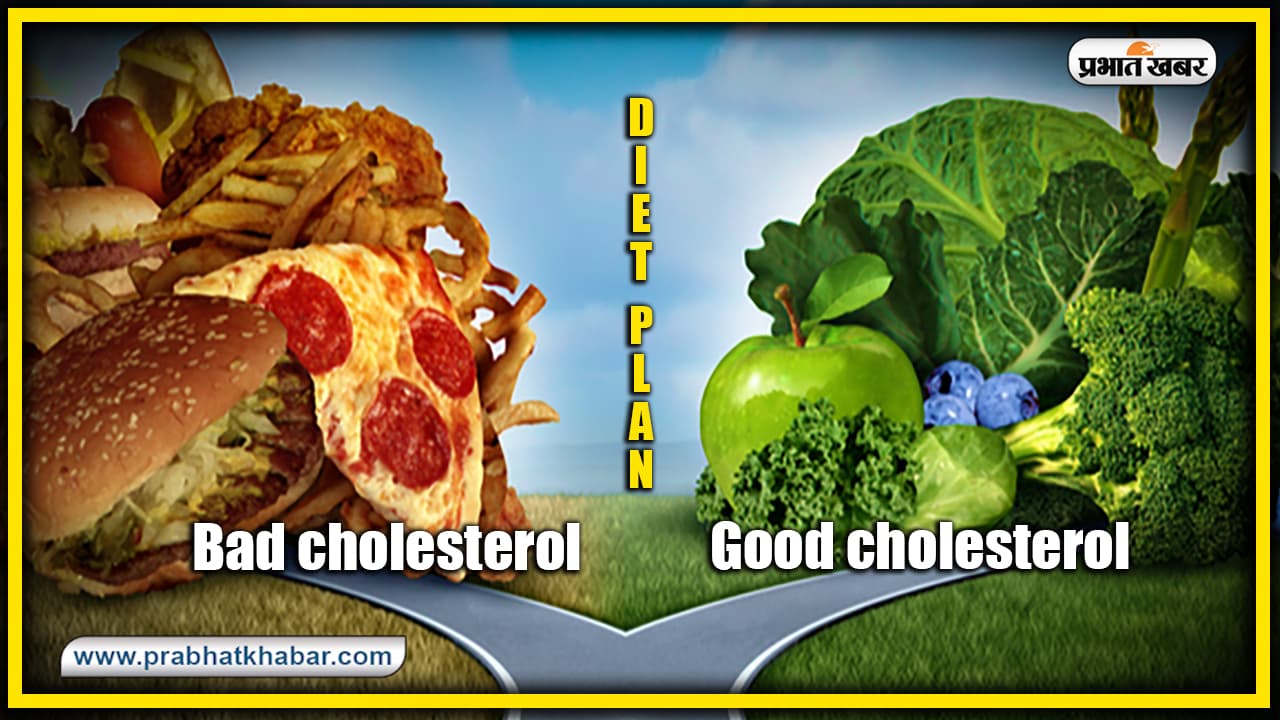 Health News : Bad Cholesterol को कम करेंगे ये फूड्स और दवाईयां, जानें क्यों सेहत के लिए जरूरी है Good Cholesterol