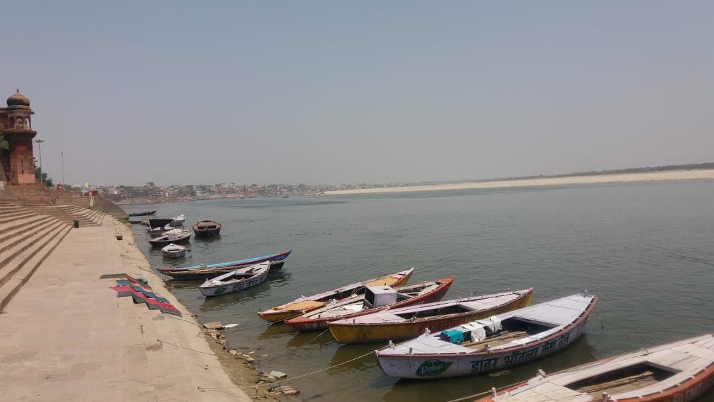 Varanasi News: गंगा में बाढ़ आने से मरीं सैकड़ों मछलियां? एक्सपर्ट ने बतायी सच्चाई