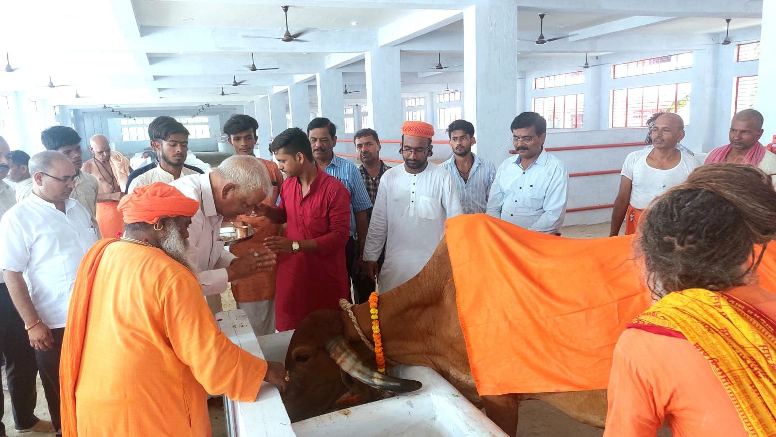 Gorakhpur News: गोरखनाथ मंदिर के गौशाला की गायों को मिला नया केंद्र, अंगवस्‍त्र ओढ़ाकर ख‍िलाया गुड़