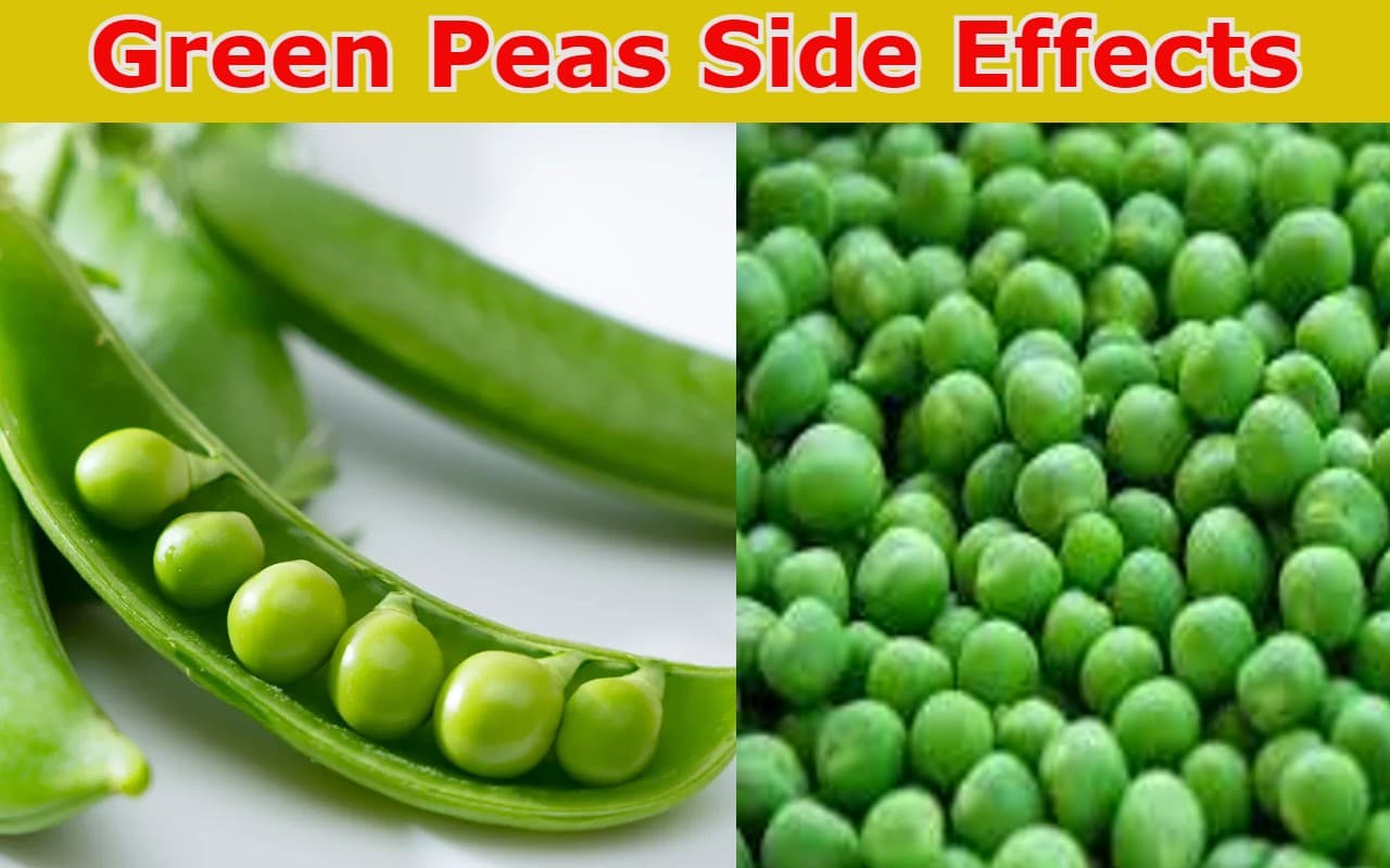Green Peas खूब खा रहे? रहें सावधान, उठाने पड़ सकते हैं सेहत संबंधी ये नुकसान Green Peas खूब खा रहे? रहें सावधान, उठाने पड़ सकते हैं सेहत संबंधी ये नुकसान