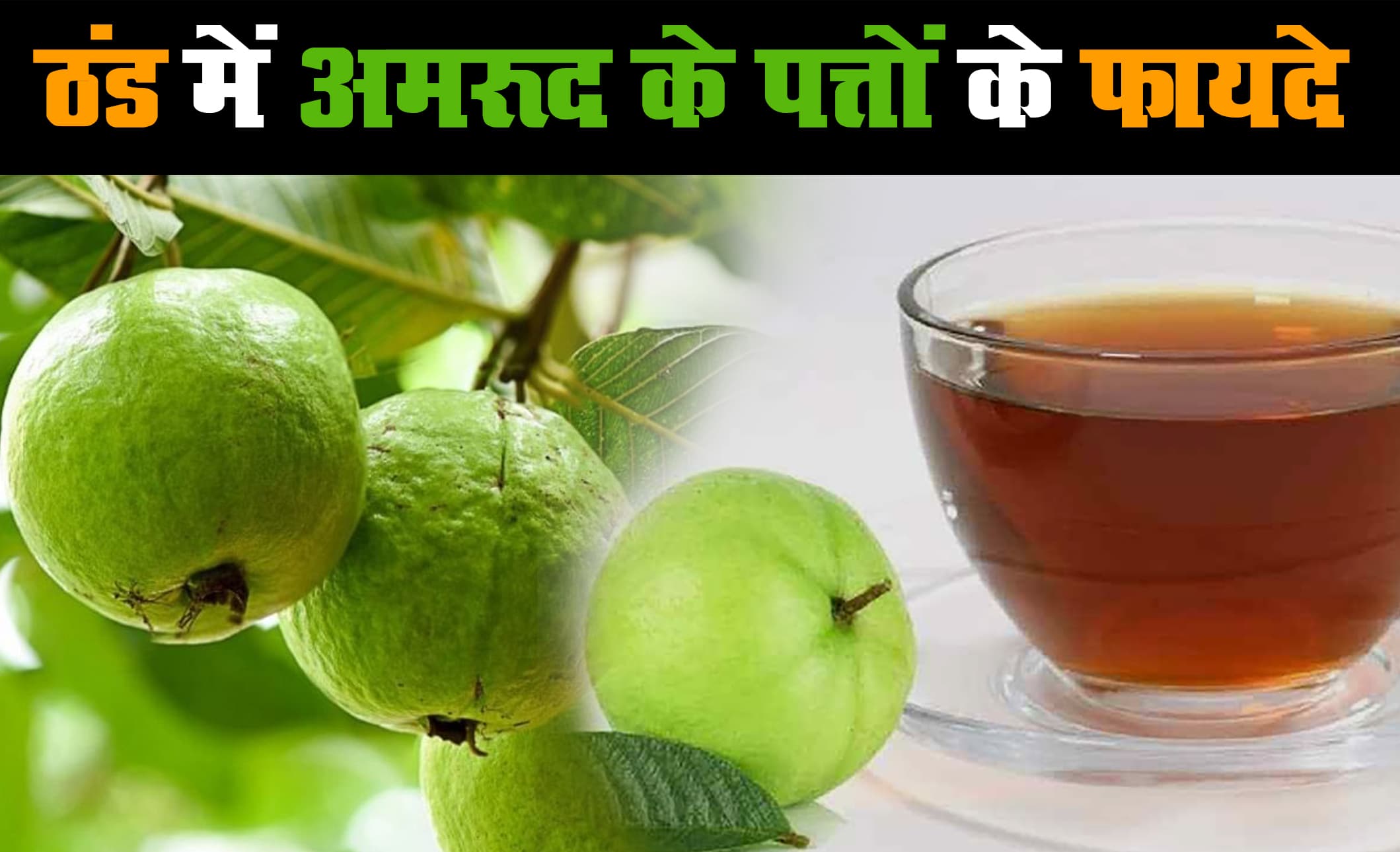 Health Tips: ठंड में अमरूद के पत्तों के फायदे, डायबिटीज समेत कई रोगों में लाभदायक
