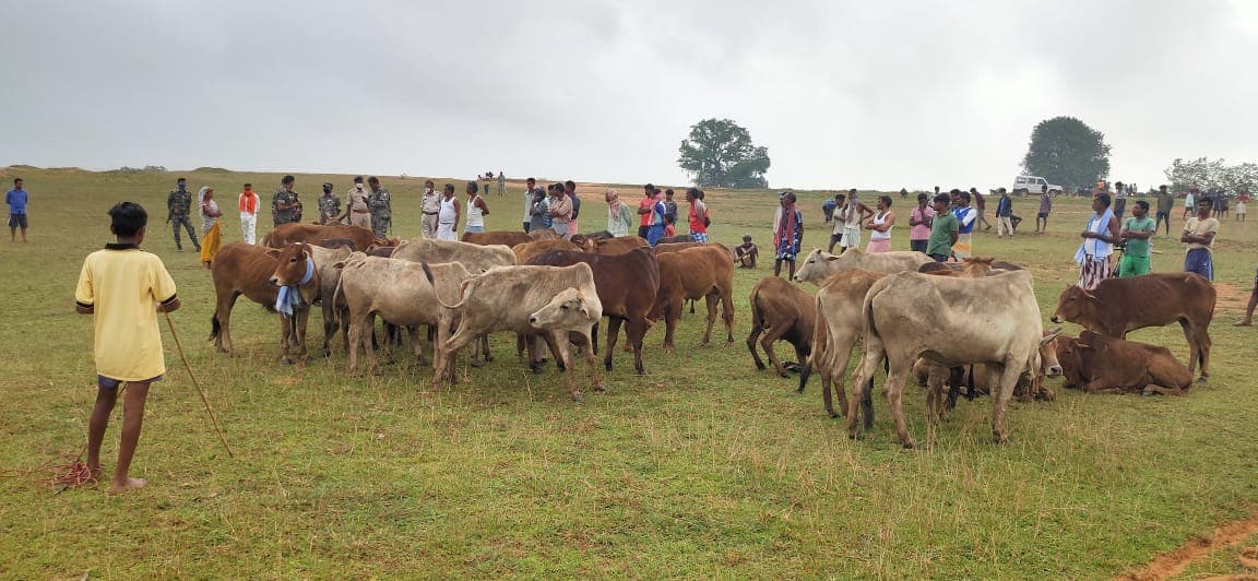गौवंश बचायेंगे, तो बचेगा पर्यावरण