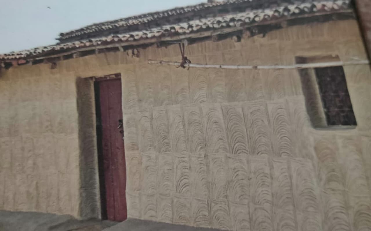 Sohrai 2022: गुमला के कामडारा में महुआ खूंटा लगाने की परंपरा, खेत का पहला अन्न पशुओं को खिलाया जाता