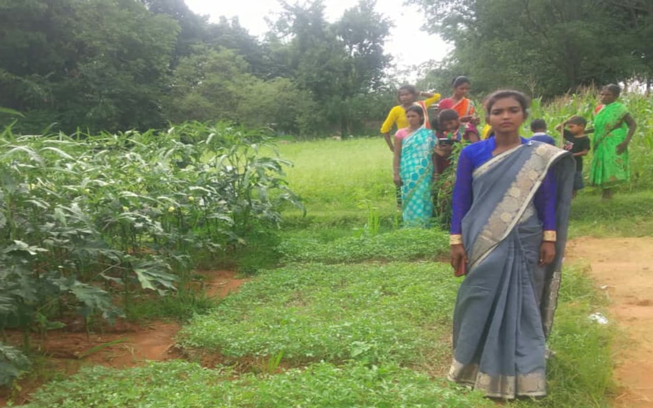 गुमला की ट्रैक्टर दीदी मंजू के कृषि कार्य की रिपोर्ट PMO को भेजी गयी, 25 एकड़ में आधुनिक खेती पर जोर