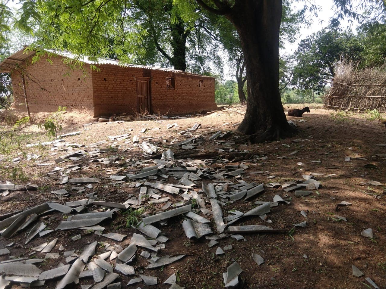 गुमला में अचानक बदला मौसम, खेतों में लगी फसल के साथ-साथ खपरैल के मकान भी क्षतिग्रस्त