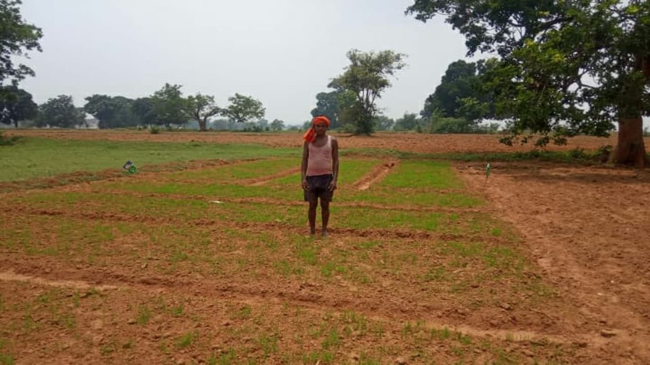 मुंगेर में सिंचाई के अभाव में किसान नहीं कर पाये धान की रोपनी, केनाल में दीवार दिये जाने से बढ़ी समस्या