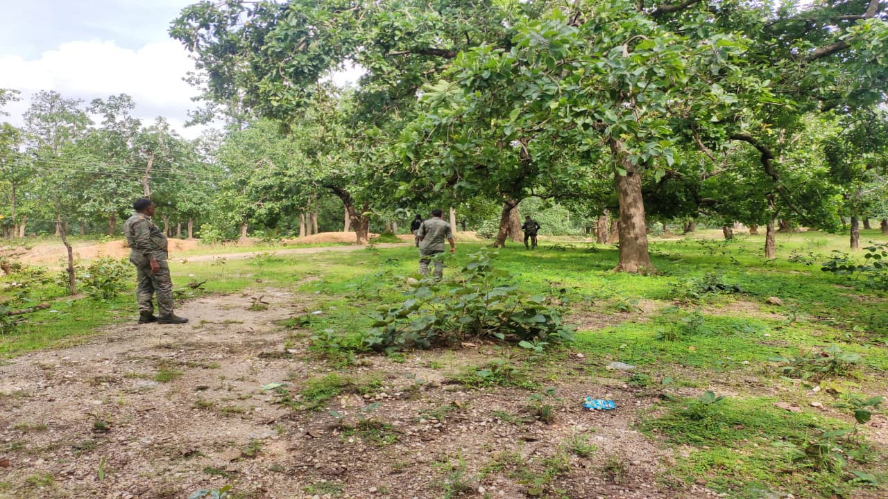 झारखंड के लातेहार-लोहरदगा जिले की सीमा के बुलबुल जंगल में आईईडी ब्लास्ट, महुआ चुनने गयी महिला की मौत