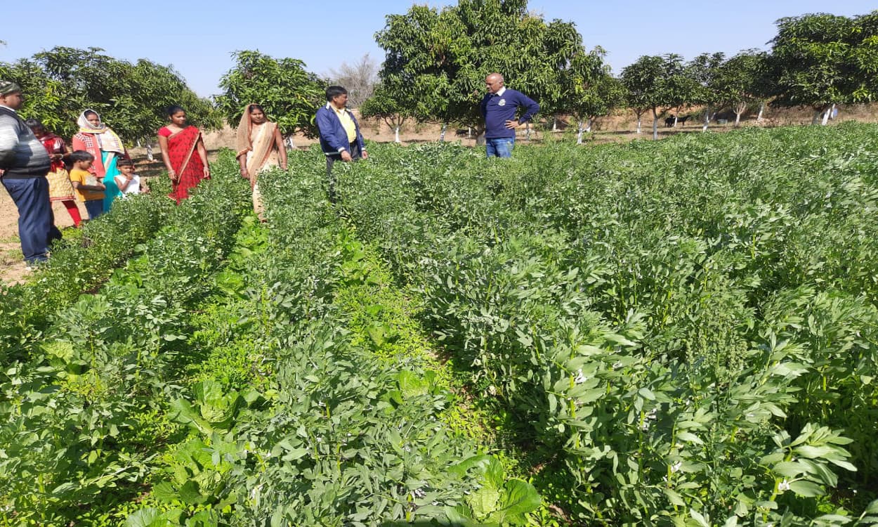 गुनिया गांव के किसान बदल रहे हैं तस्वीर, कभी सूखा झेलने वाले अब 12 महीना करते हैं खेती