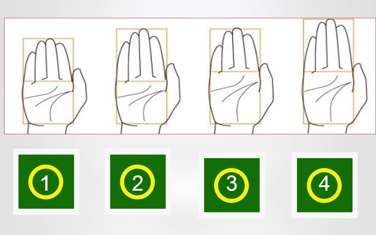 अपने palms के आकार से जानिए कैसी है आपकी पर्सनालिटी, लक्षण और स्वभाव
