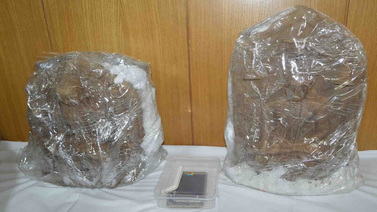 Jharkhand Crime News : हजारीबाग के बहोरनपुर से चोरी हुई बुद्ध की दुर्लभ मूर्ति रांची से बरामद, 5 गिरफ्तार, बिहार से भी है कनेक्शन