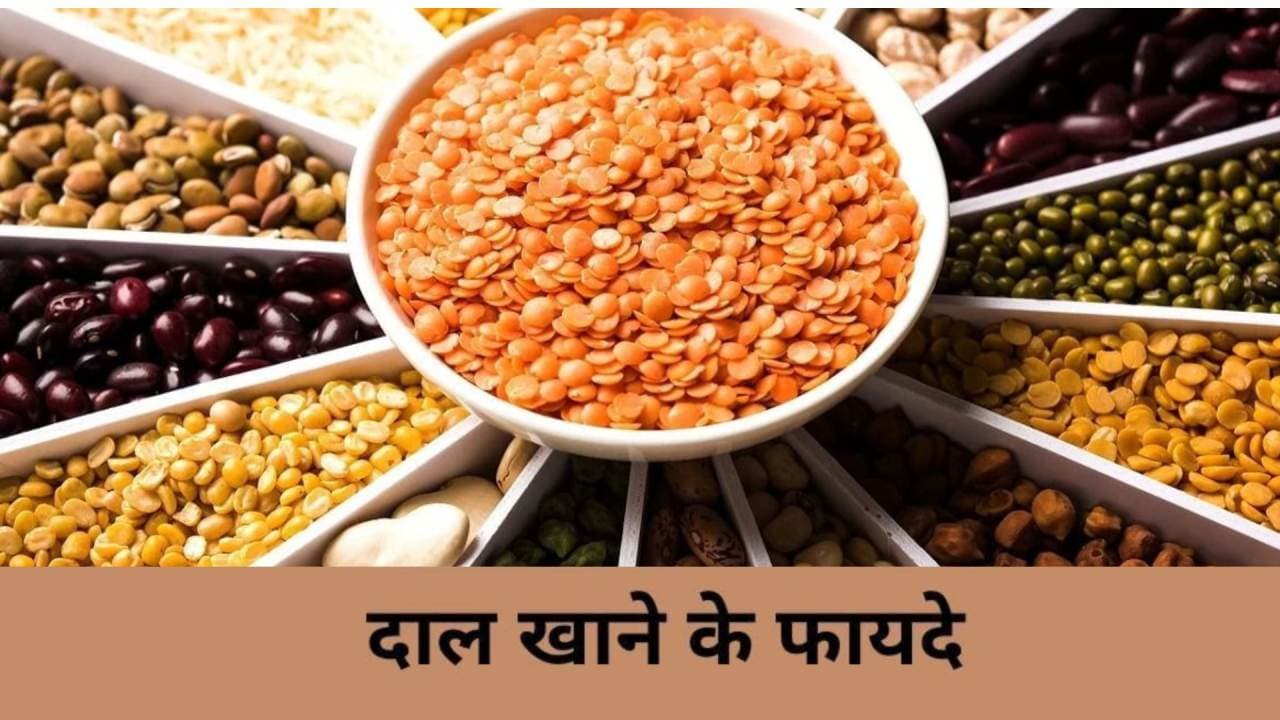 Health Benefits Of Pulses: दाल नहीं खाते तो आएगी वीकनेस, पड़ सकते हैं बीमार