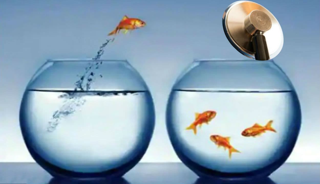 अब आप बैंक खाता के जरिए ही चुन सकते हैं हेल्थ इंश्योरेंस की पॉलिसी का विकल्प, इरडा ने जारी की नई गाइडलाइन